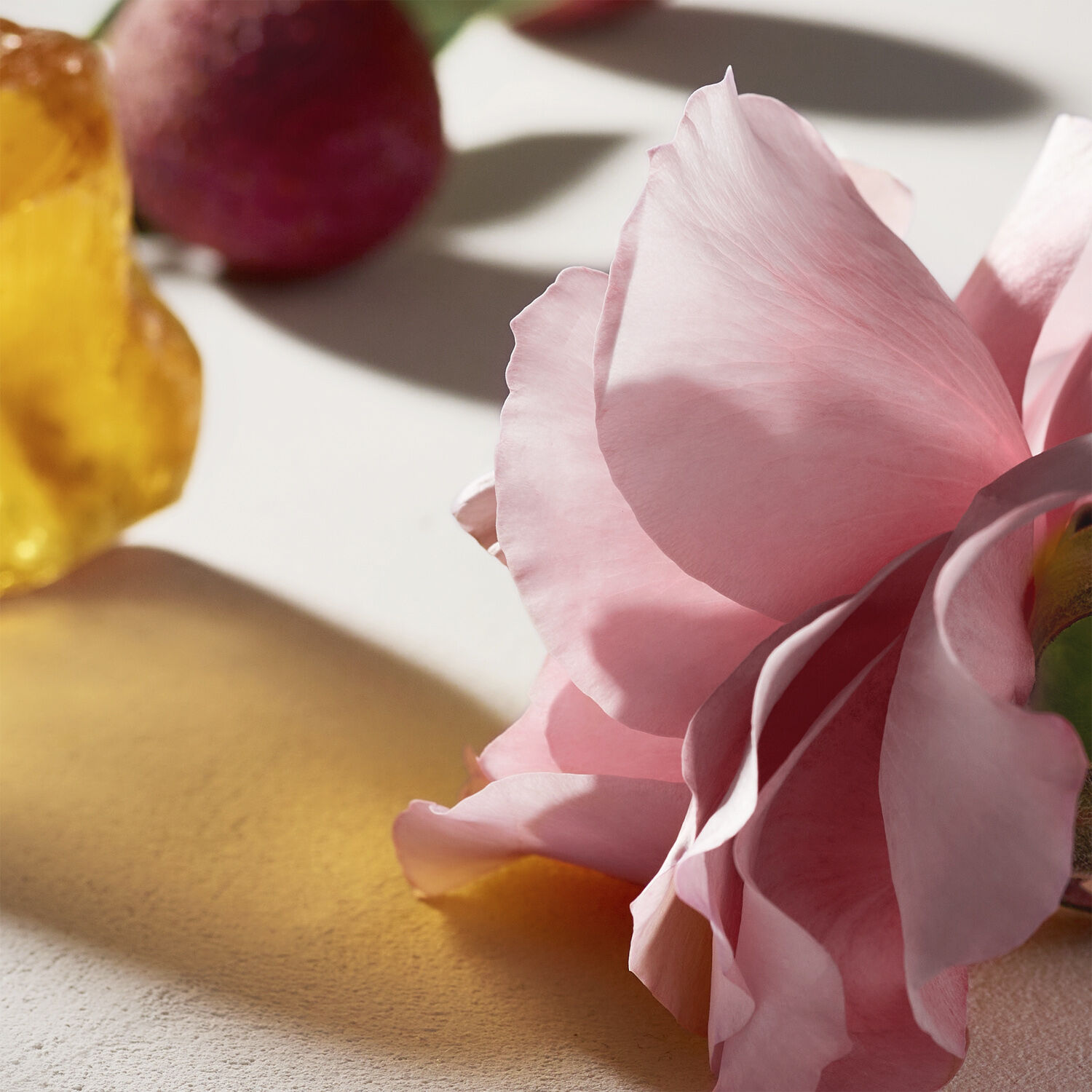 CHLO&Eacute; Signature Eau de parfum refillable 100 ML