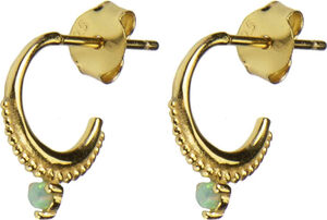 Daria earrings