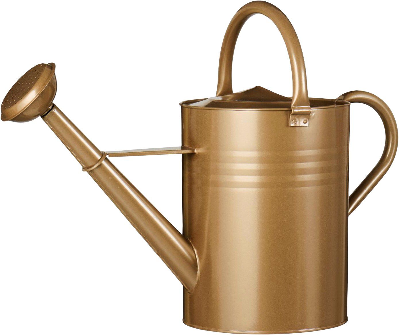 Vandkande m/spreder og 2 hanke brun 11 ltr