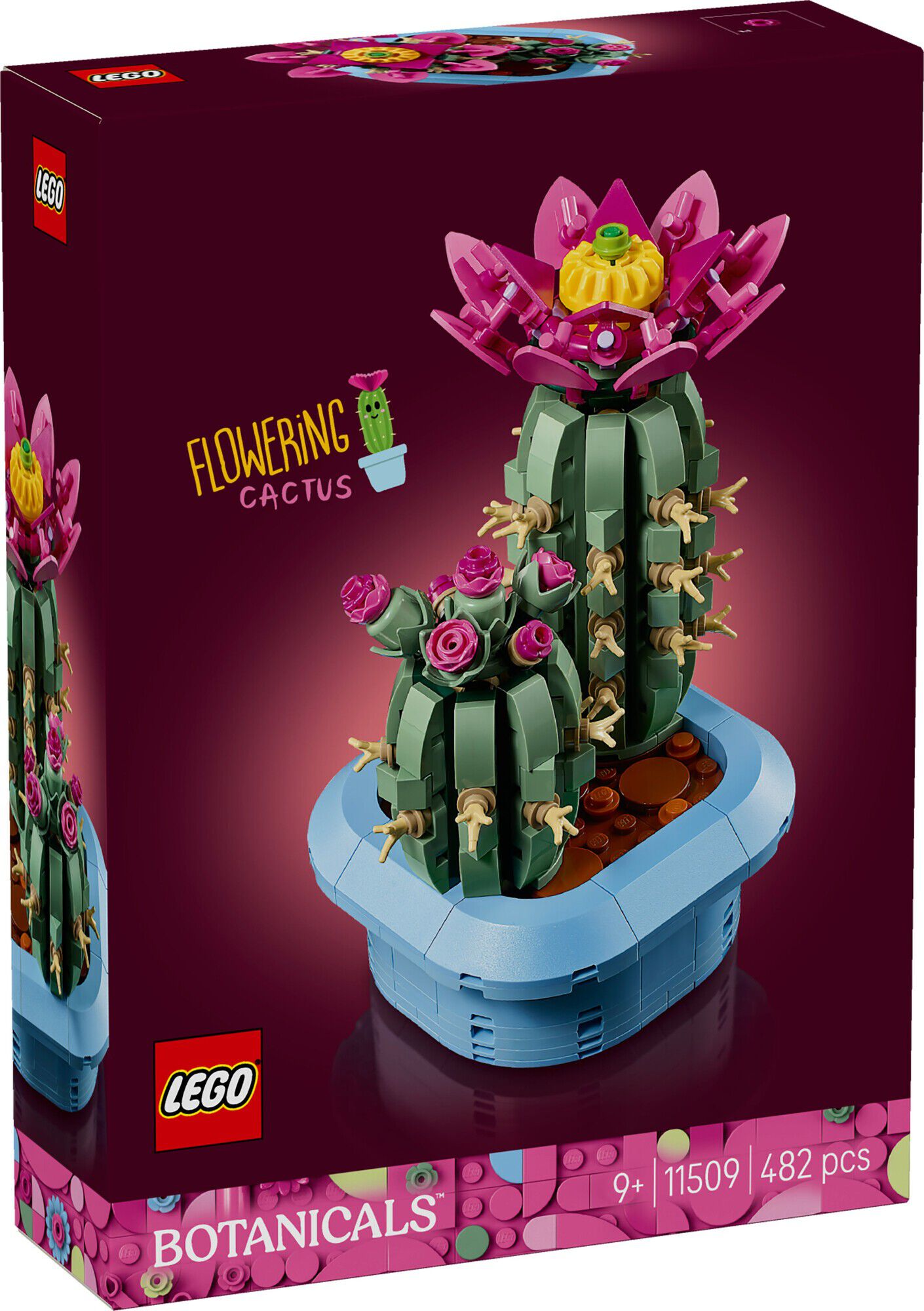 Blomstrende kaktus 11509