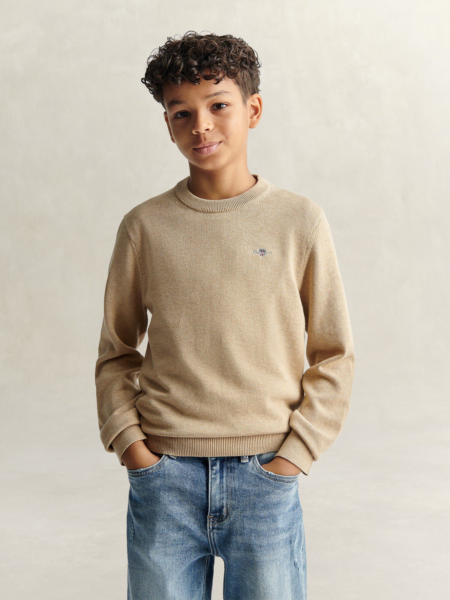 Shield Cotton Crew Neck Sweater