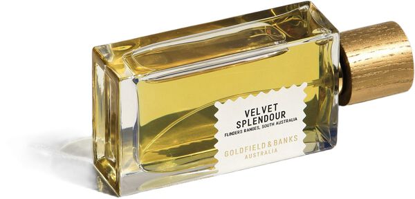 VELVET SPLENDOUR Perfume 100ml