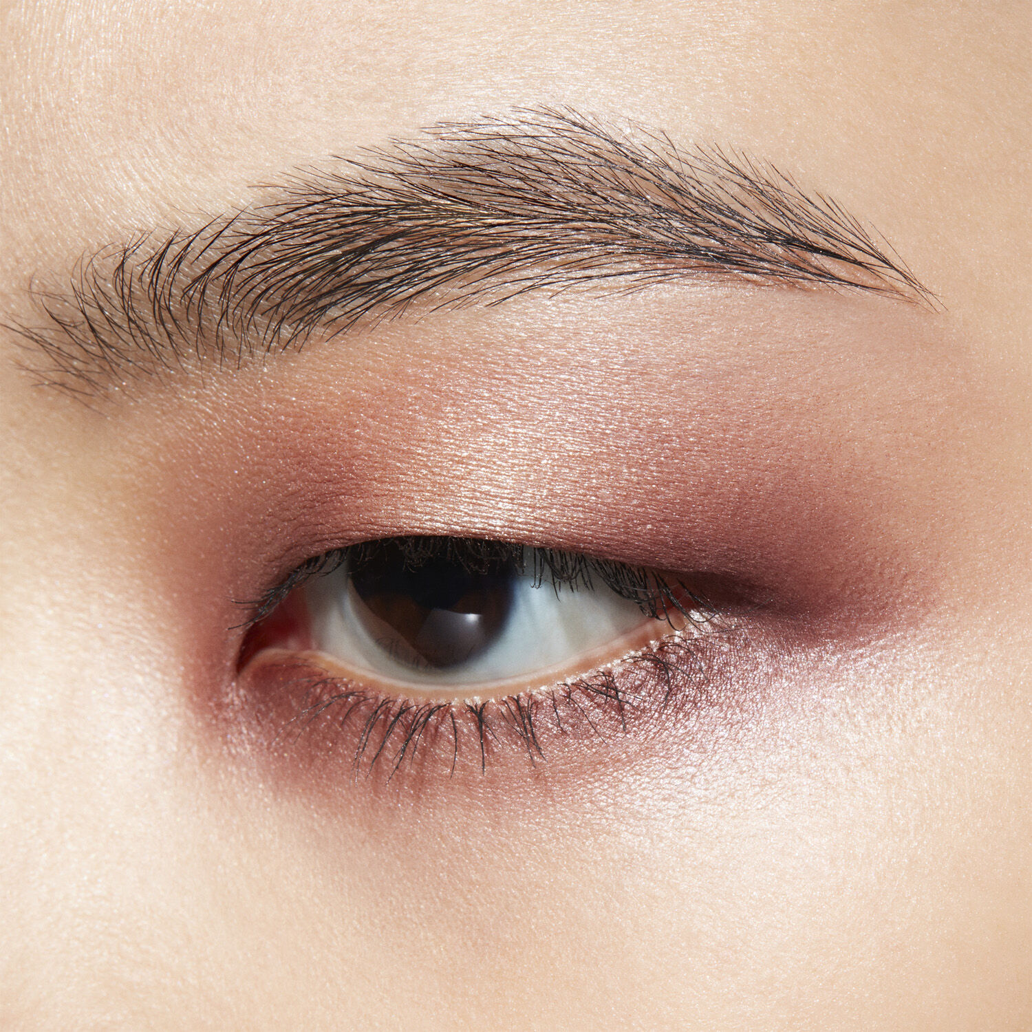 Connect In Colour Eye Shadow Palette