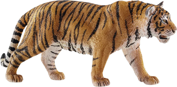 Sch Tiger
