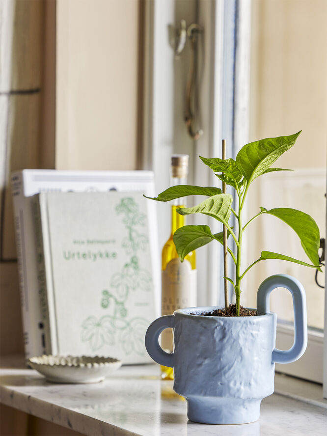 Alfine Urtepotteskjuler, Blå, Stentøj