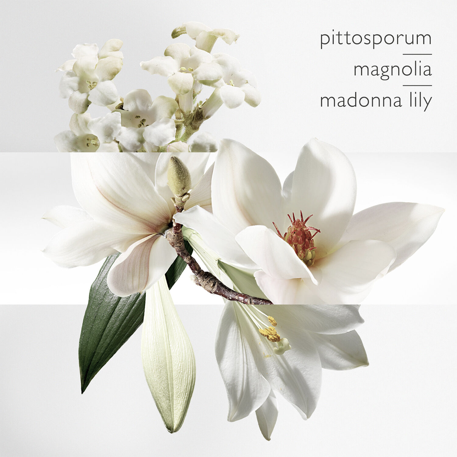 Un Jardin Sur la Lagune Eau de toilette