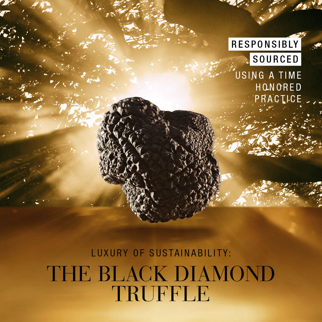 Re-Nutriv Ultimate Diamond Transformative Energy Cr&egrave;me