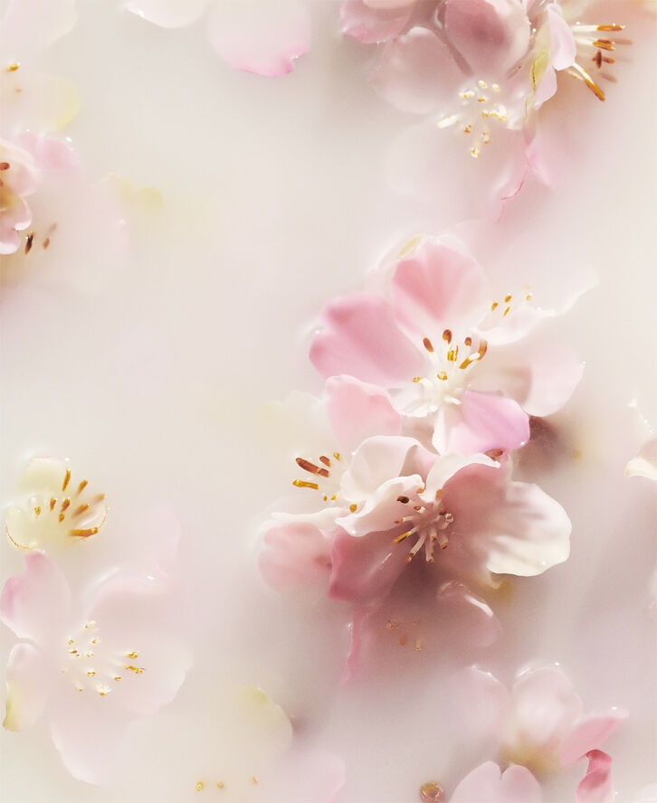 The Ritual of Sakura Recovery Hand Balm