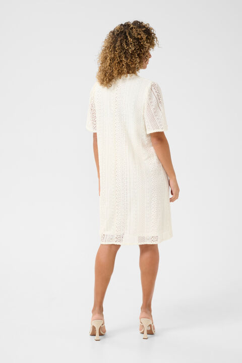 CRRubby Lace Dress
