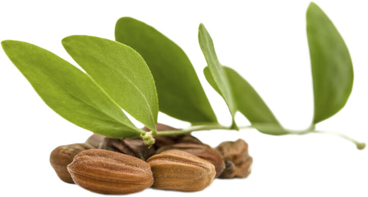 Organic Body Cream Lavender