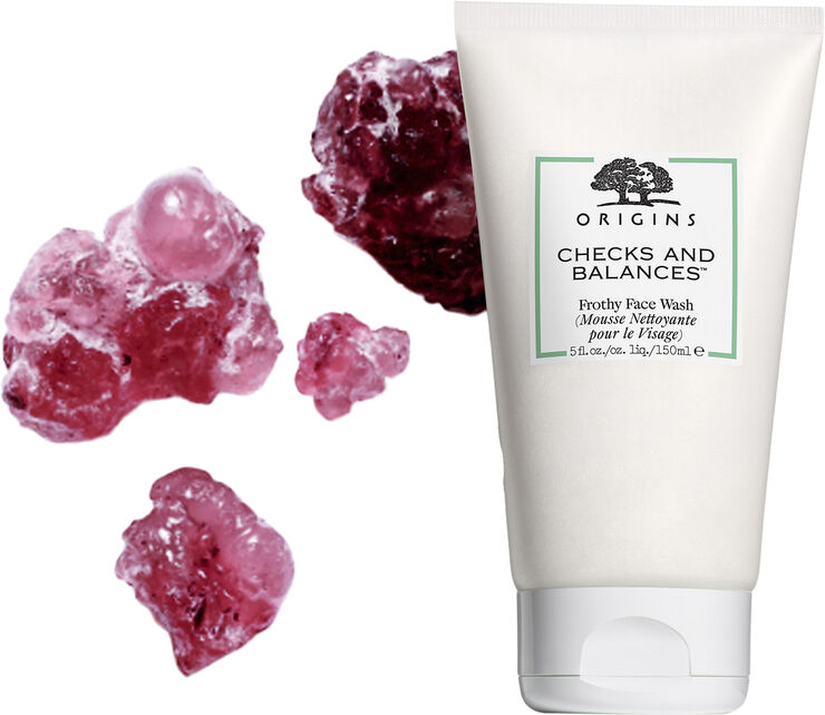 Checks and Balances Frothy Face Wash Cleanser
