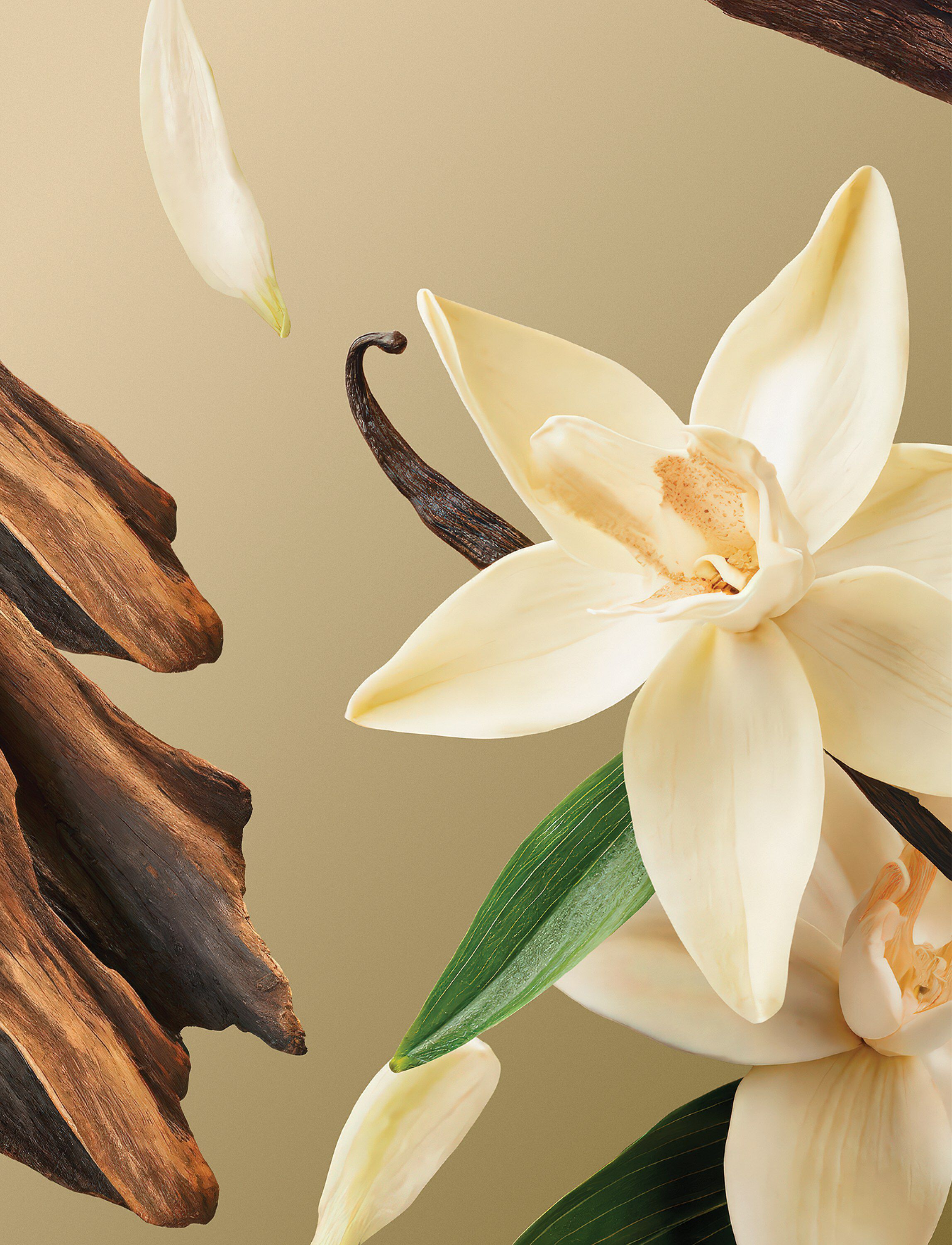 Intuitia Whipped Whipped Body Cream 220ml