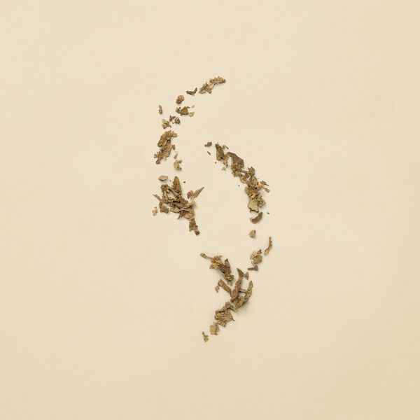 Guilty Revolution Eau De Parfum