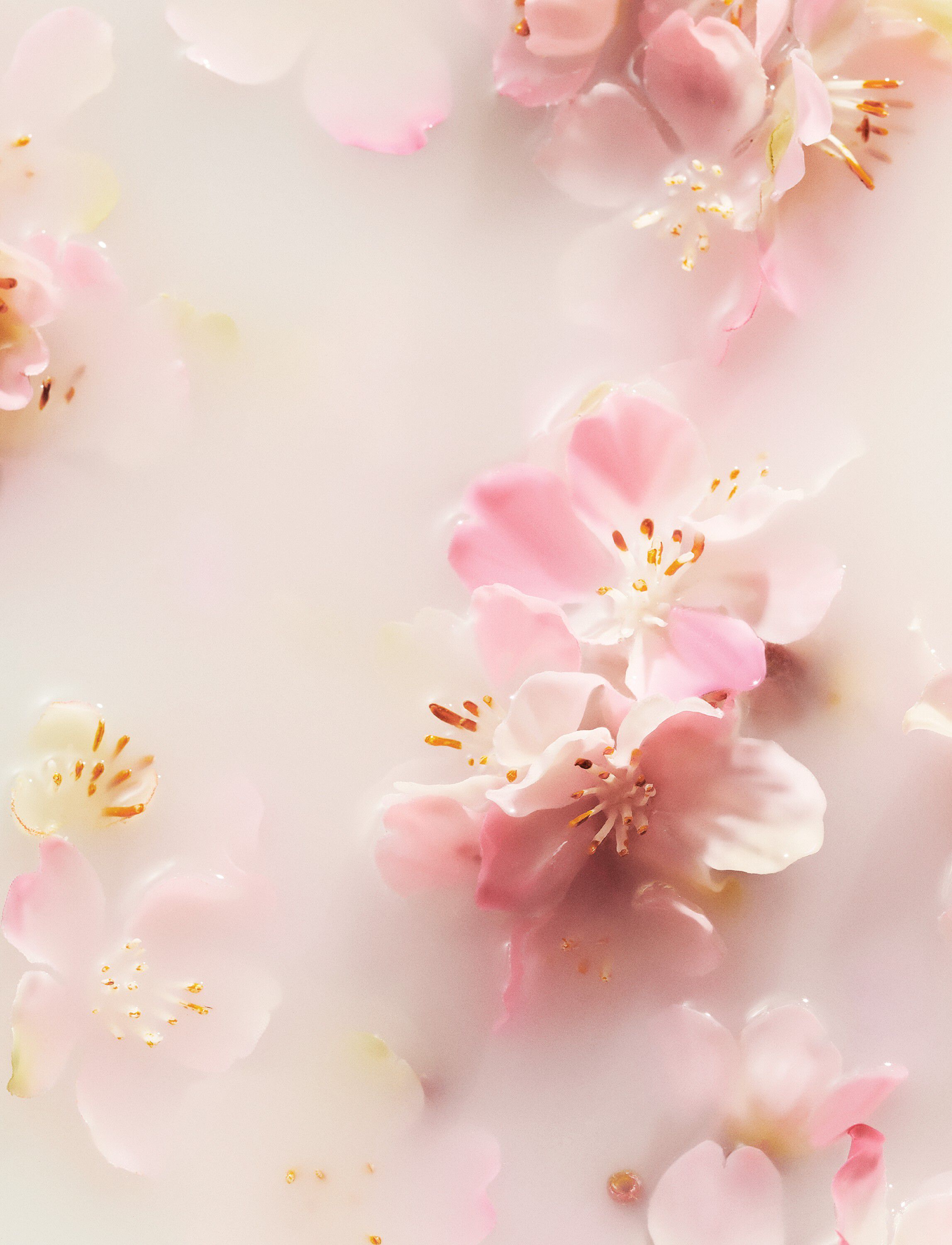 The Ritual of Sakura Hand Wash Refill 600ml