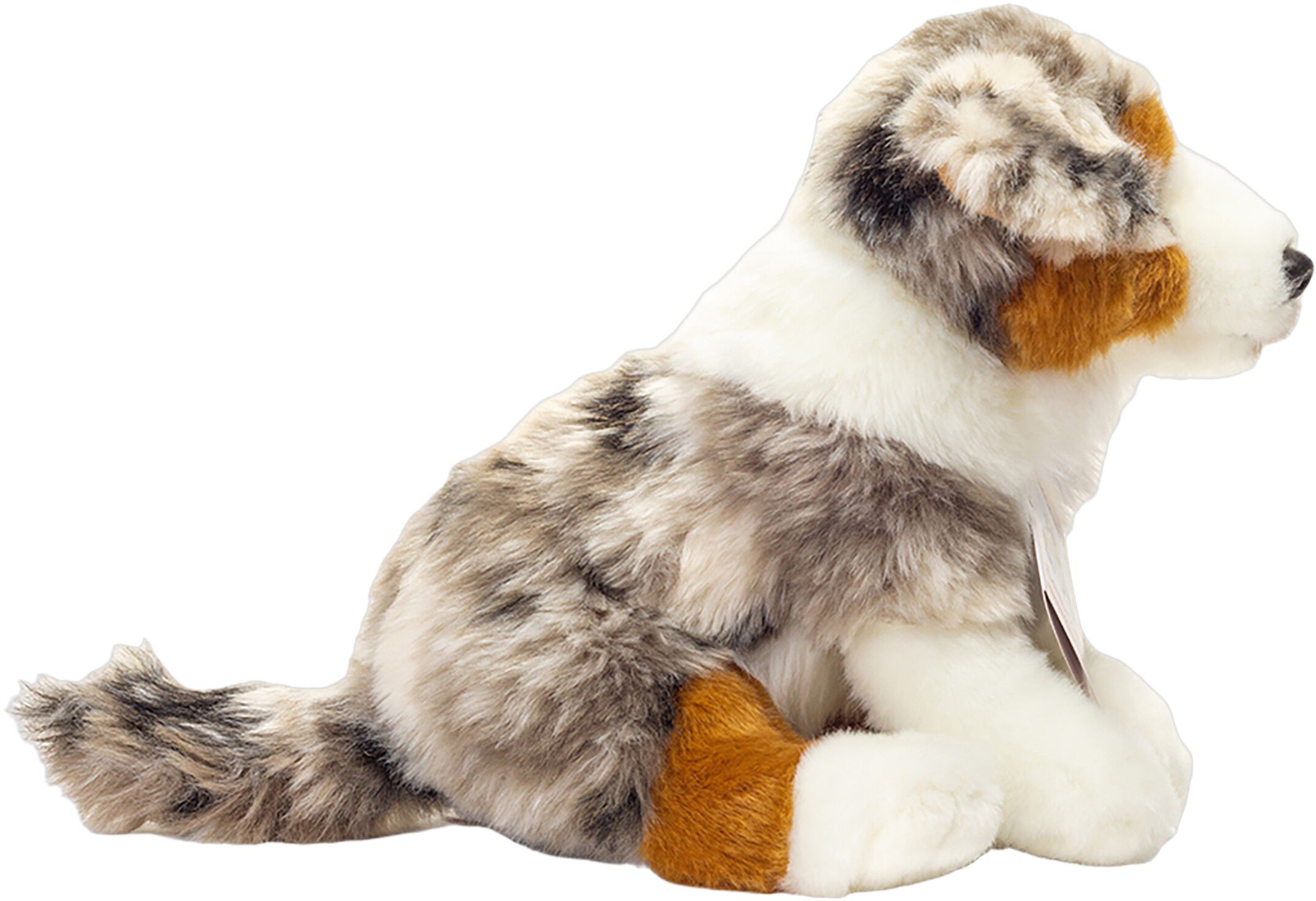 Teddy Hermann - Australsk Hyrdehund hvalp 22 cm