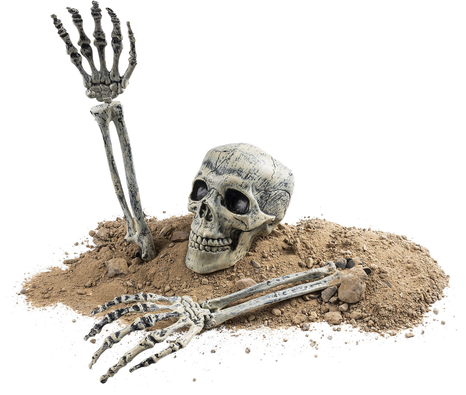 SKELETHOVED-KNOGLER DEKO