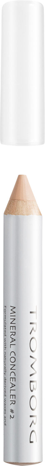 Mineral Concealer