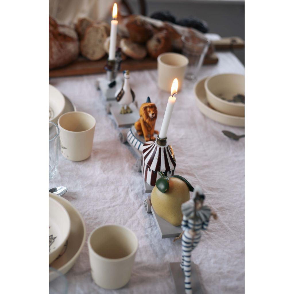 F&oslash;dselsdagstog