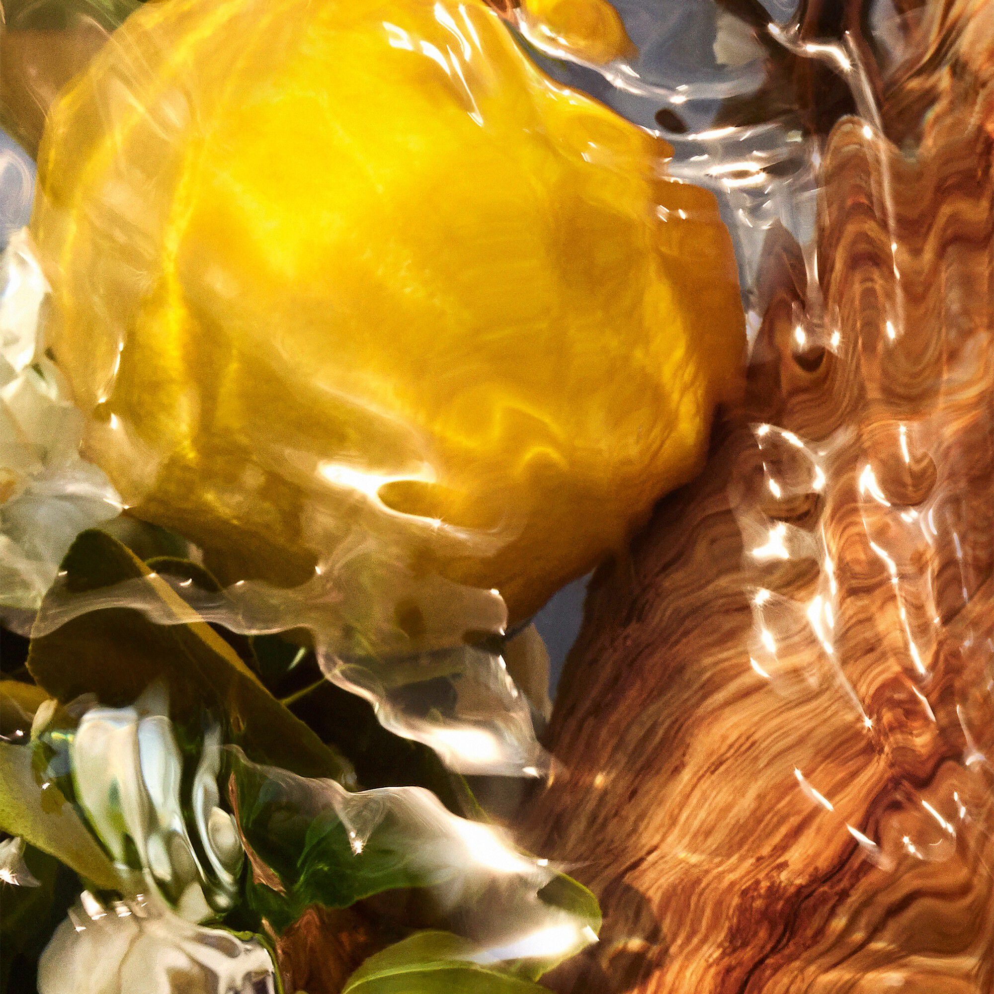 Aqua Allegoria Forte Oud Yuzu EdP 75ml