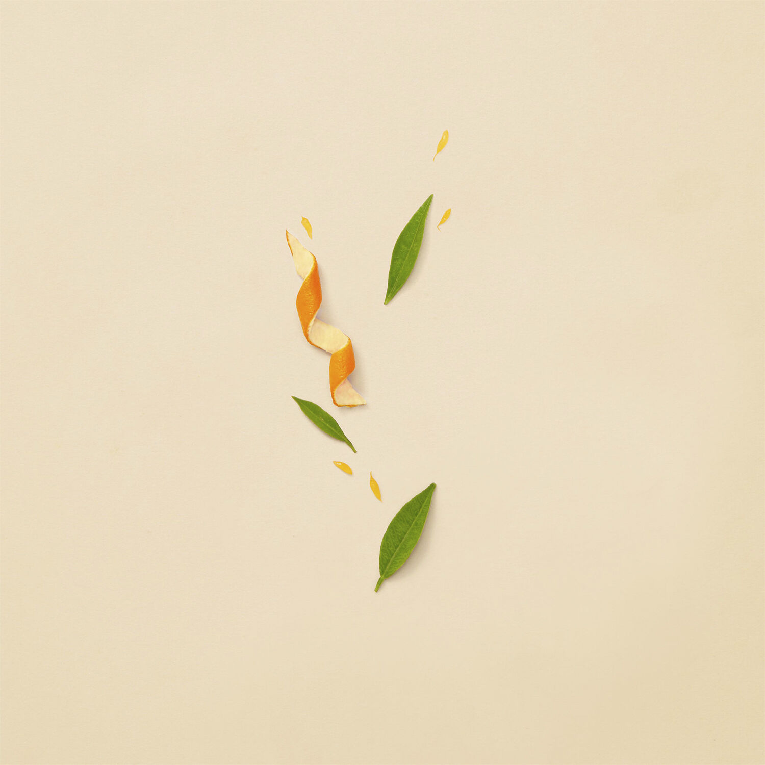 Guilty Revolution Eau De Parfum