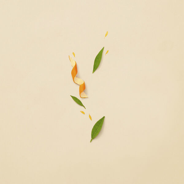 Guilty Revolution Eau De Parfum