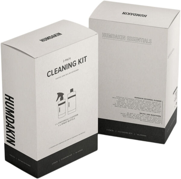 Cleaning kit