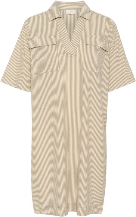 KAnaya striped Dress