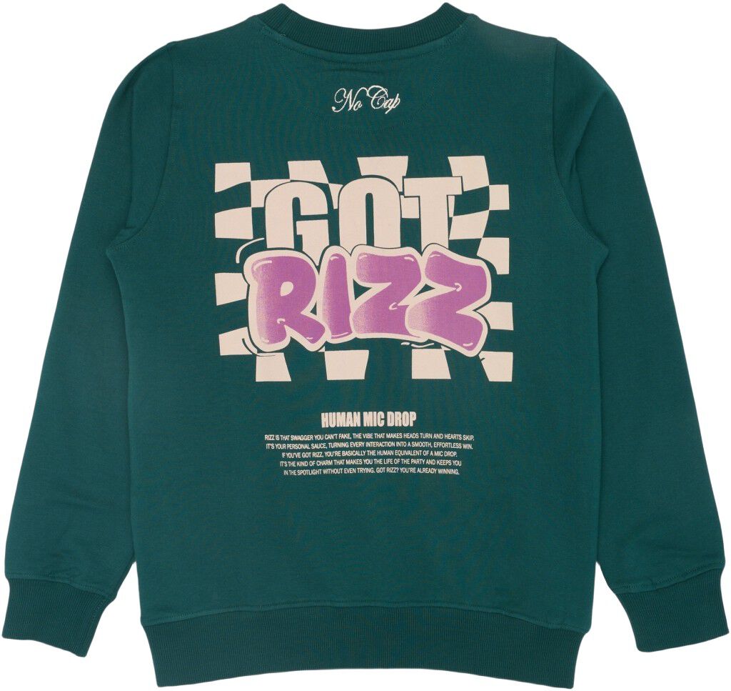 TNReg Sweatshirt