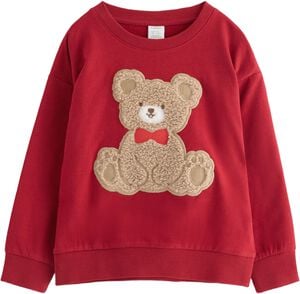 Sweatshirt with a brushed inside an