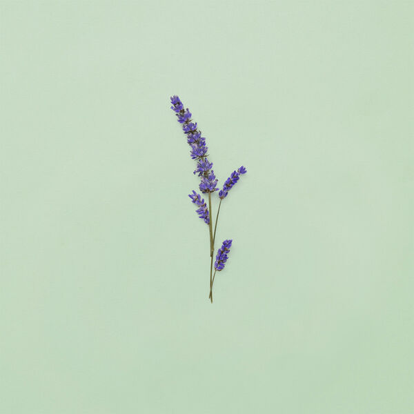 Gucci Guilty Pour Homme Eau de Toilette