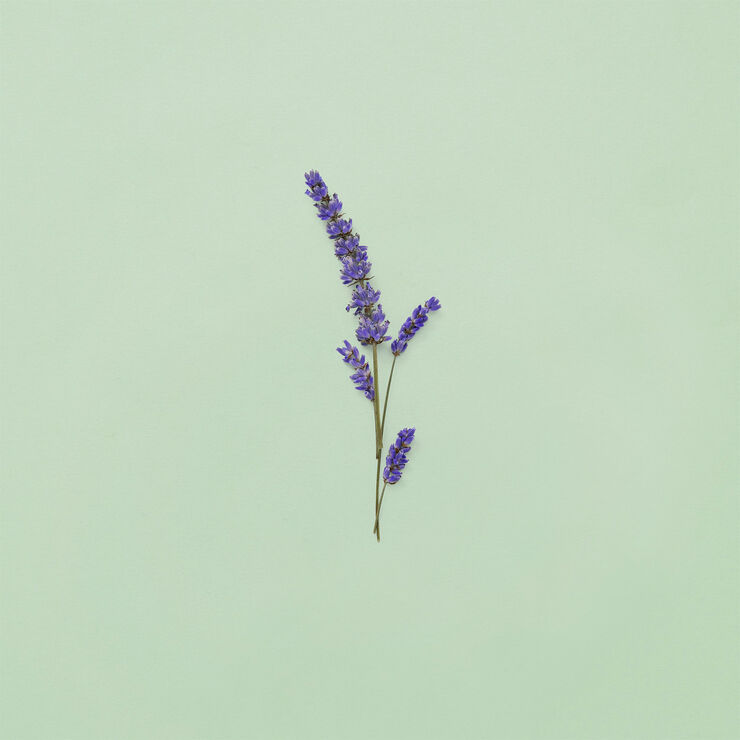 Gucci Guilty Pour Homme Eau de Toilette