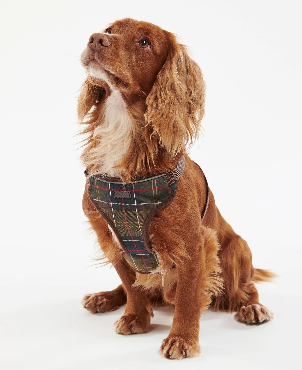 Barbour Trav/Exer Harn