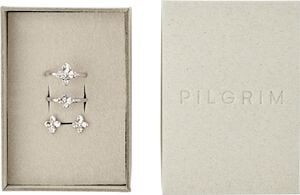 SANINE gift set, rings & earstuds, silver-plated