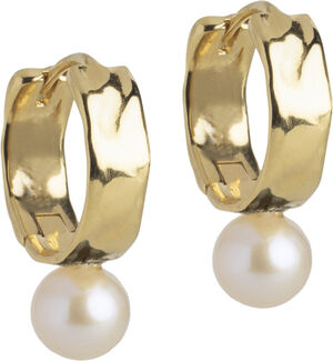 Hoops, Avaya Pearl