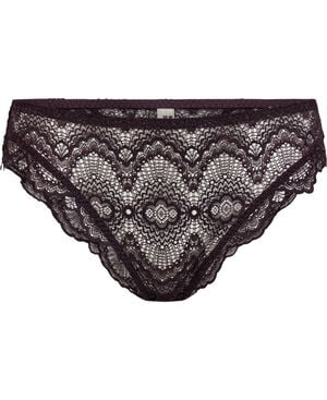 Petal 2 Brief