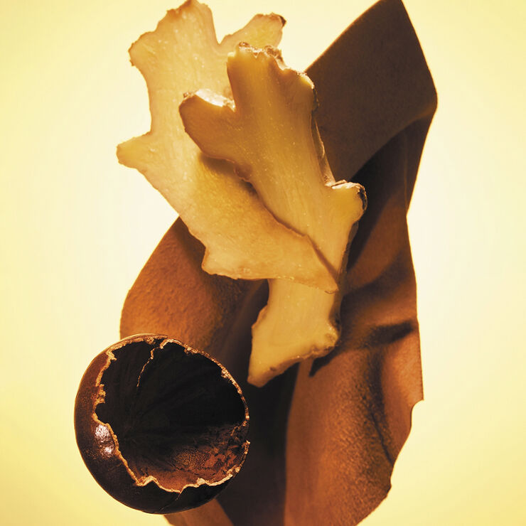 The Scent Eau De Toilette