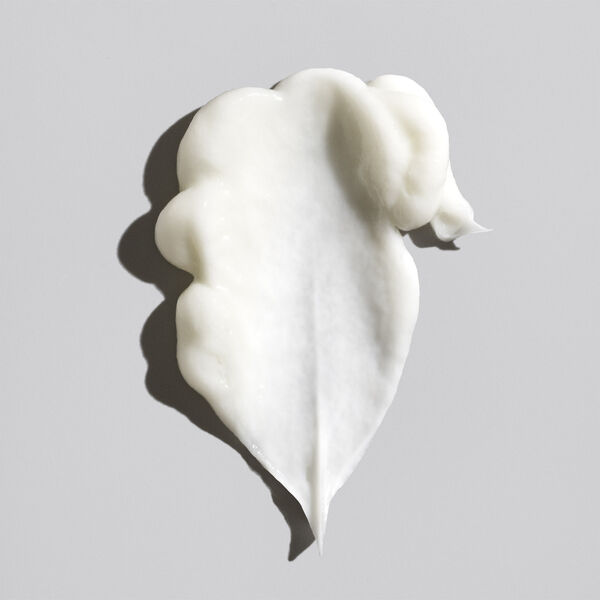 Signature Conditioner travel size