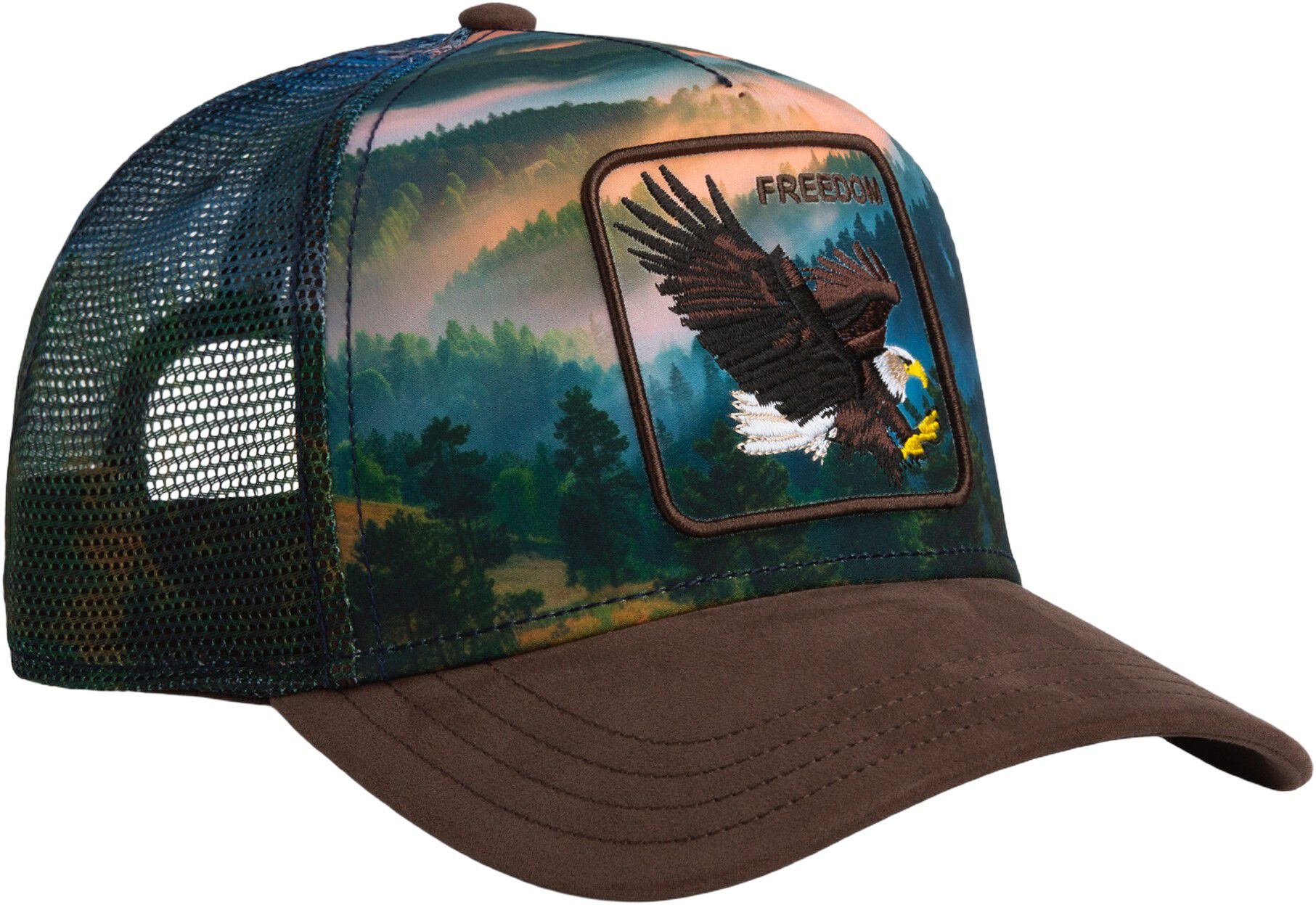 Eagle in the element