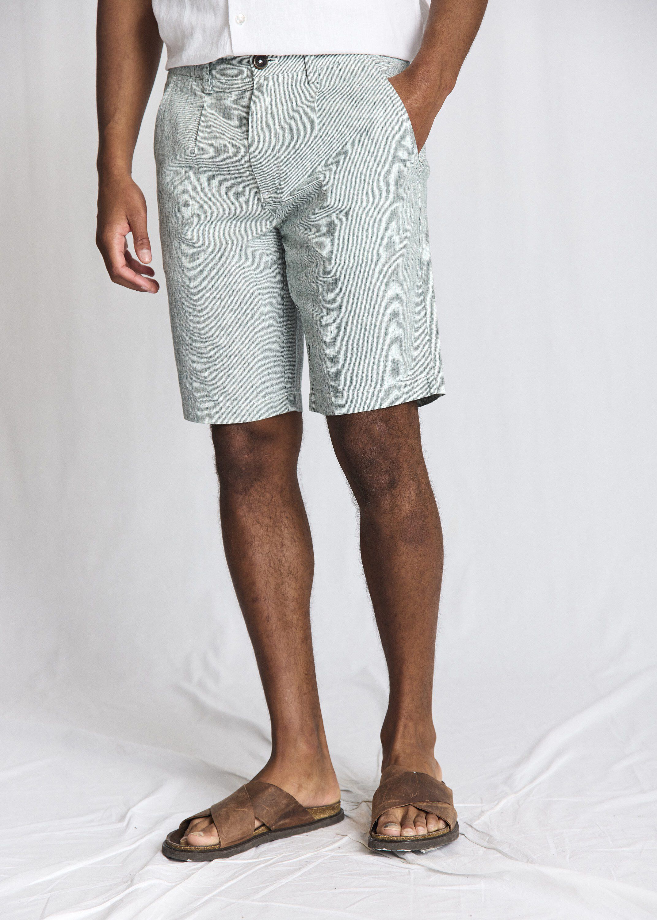 BS Darion Regular Fit Shorts