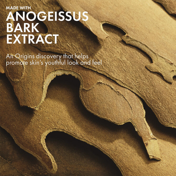 Plantscription Lifting + Firming Cream