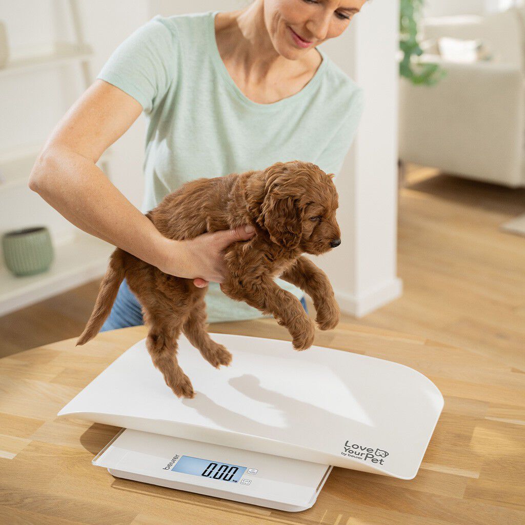 PetCare PP 170 Polly Multifunksjonsvekt for kj&aelig;ledyr