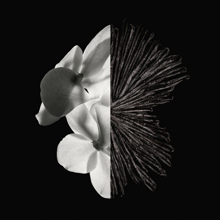 Givenchy Gentleman Eau de parfum