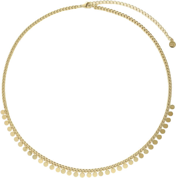 Necklace with small coins