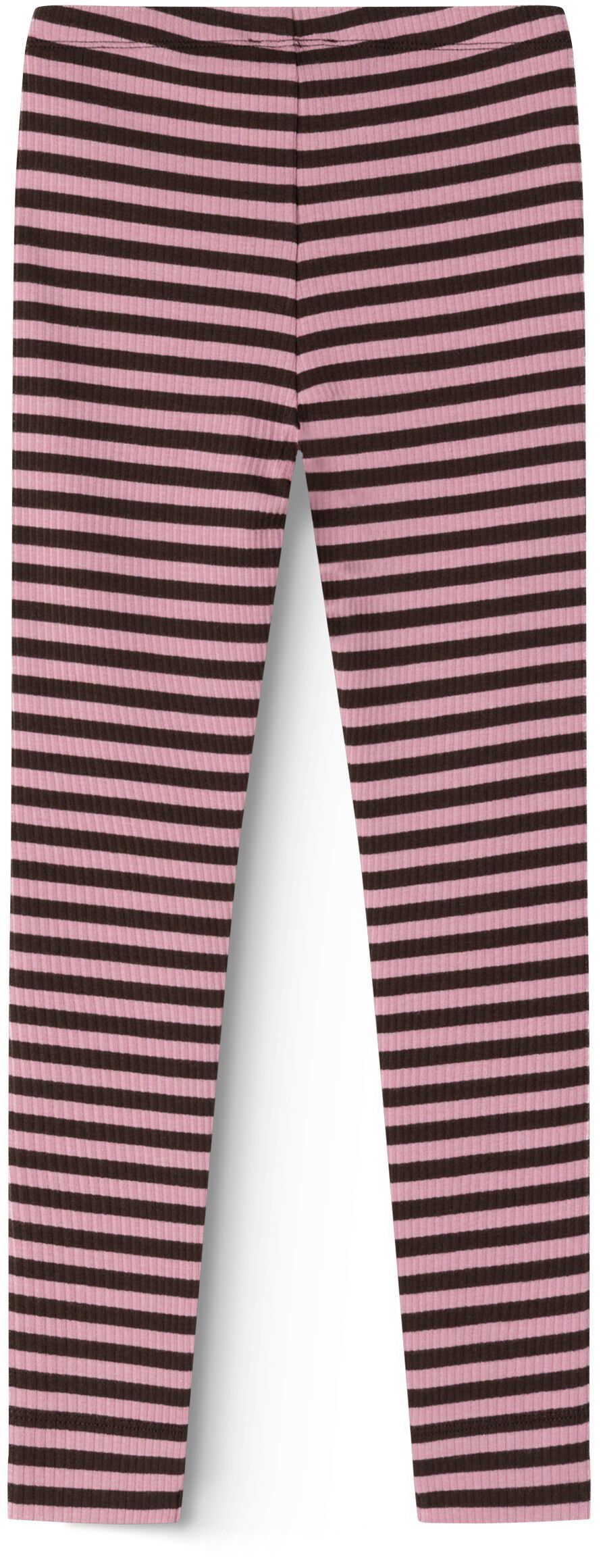 Leg