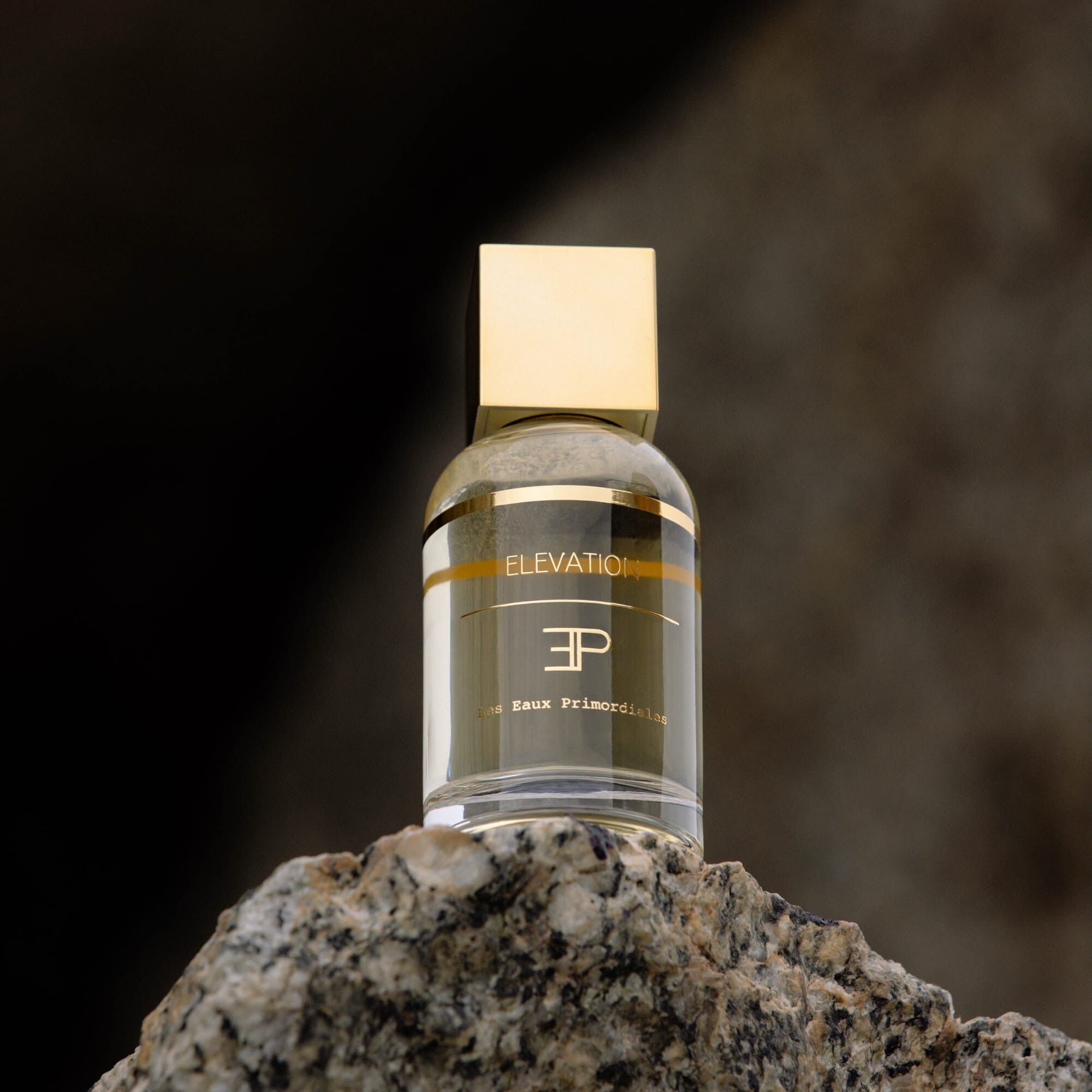 LES EAUX PRIMORDIALES Elevation 100 ml.