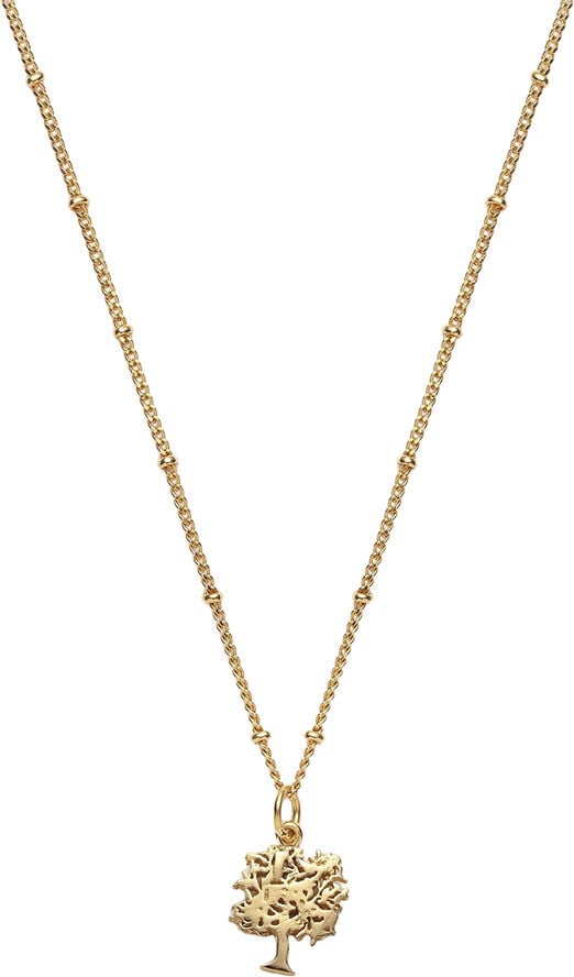 Global Goal #15: Tree of Life