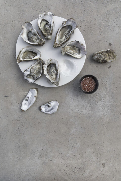 Serving plate Oyster