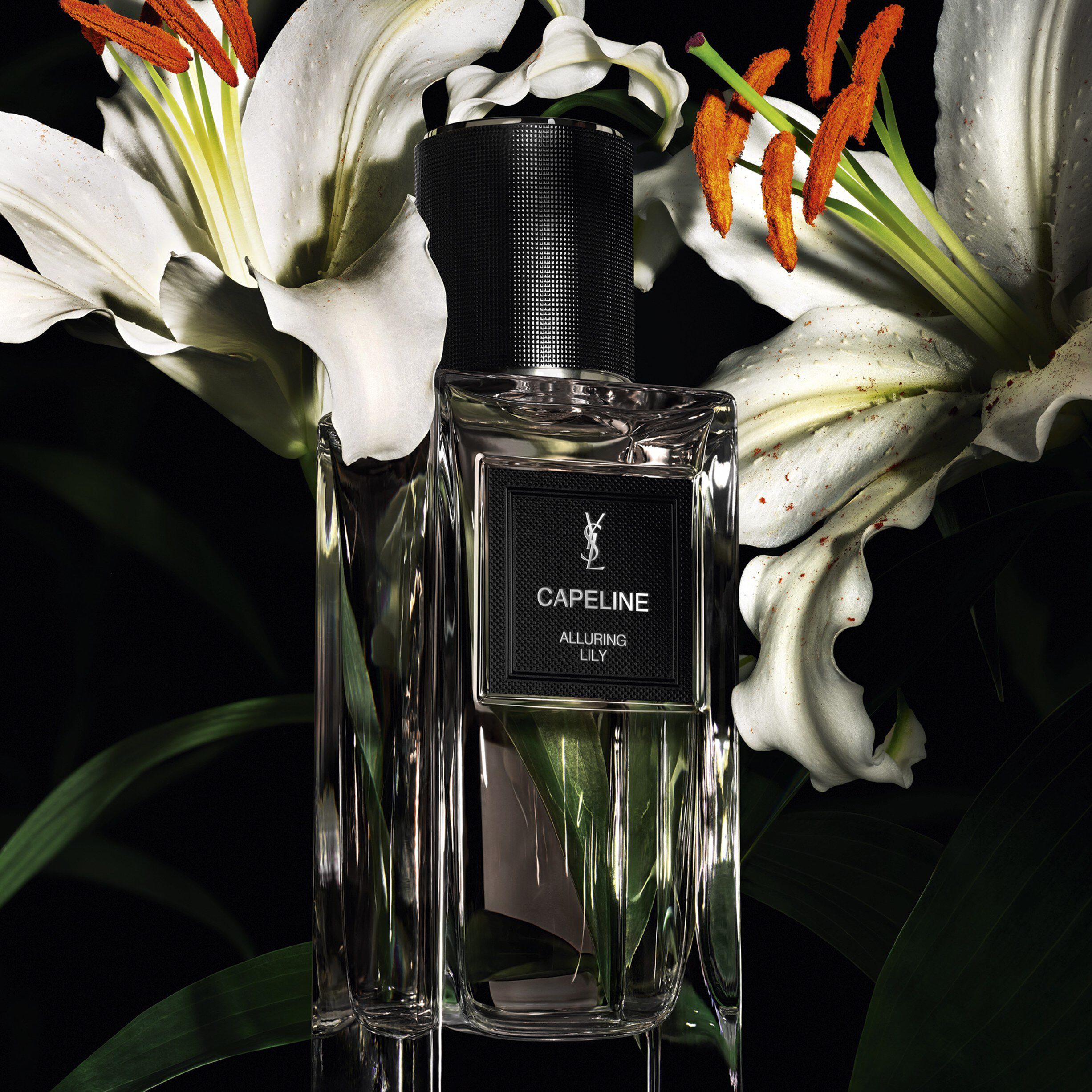 CAPELINE - Le Vestiaire des Parfums