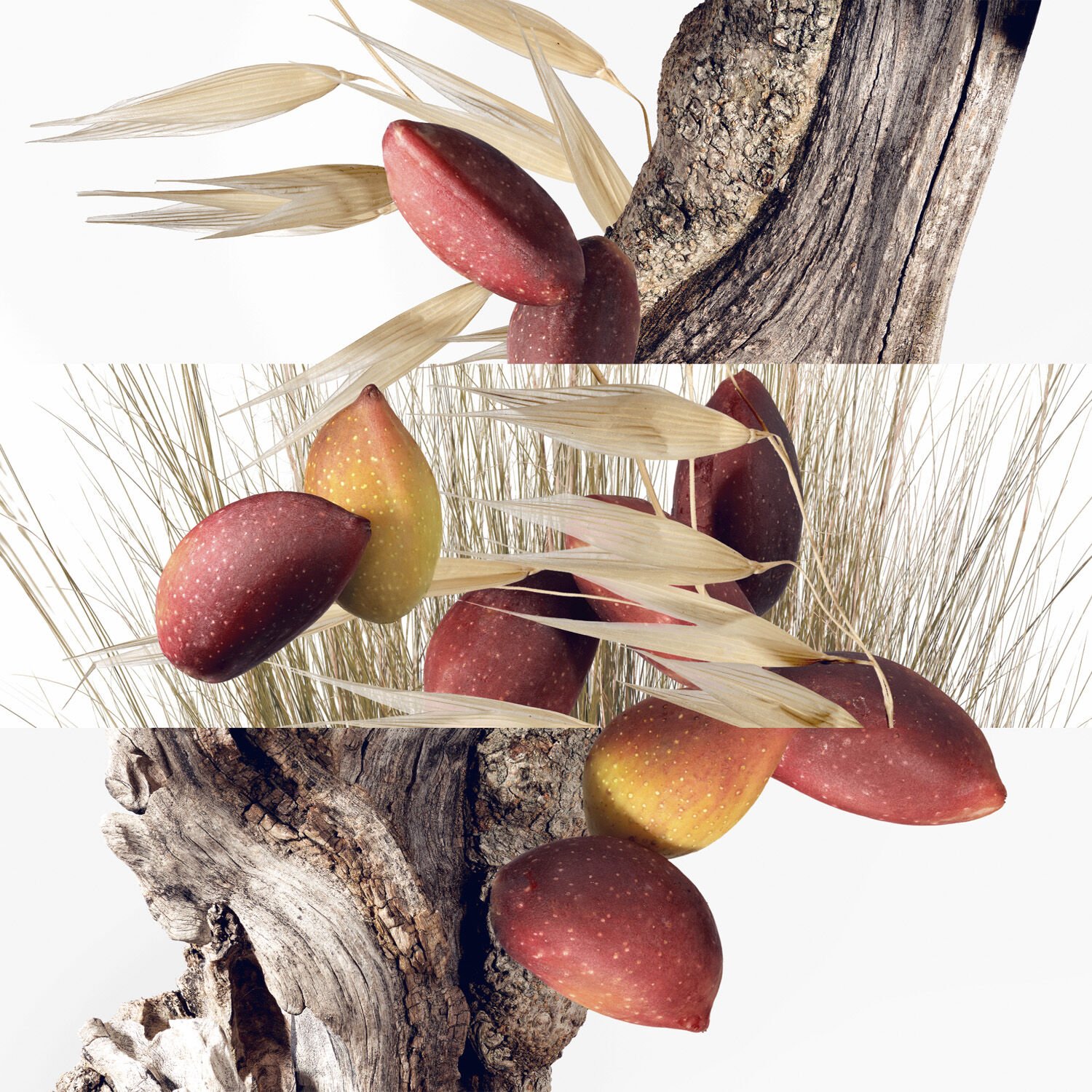 Un Jardin &agrave; Cyth&egrave;re Eau De Toilette 50ml