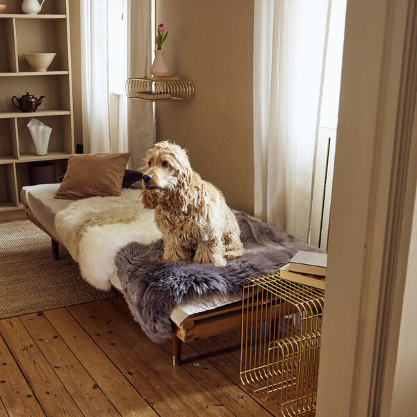 90cm-up New Zealand Sheepskin, Long Wool Dark Grey/ 90x60